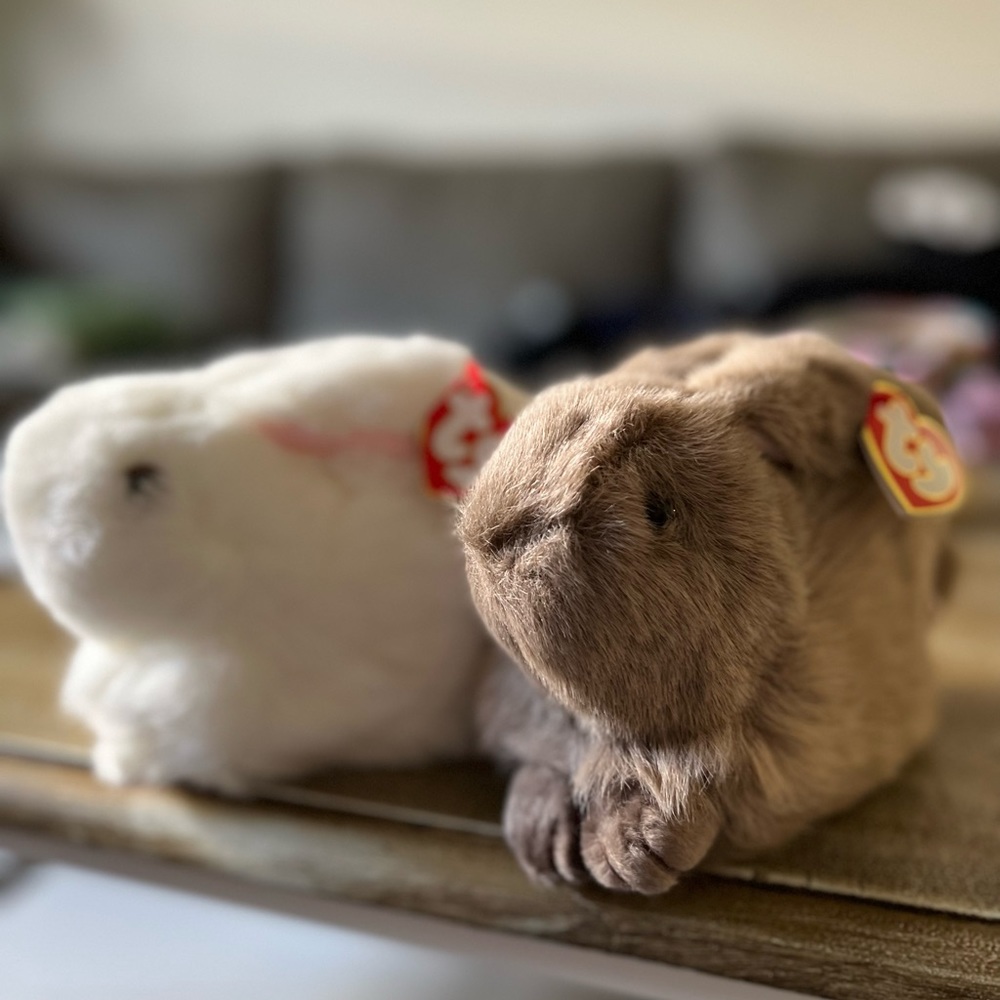 RARE Ty Beanie Babies nibbles bundle